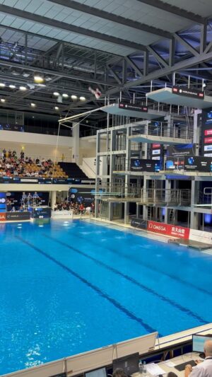 Fred Sirieix Instagram - Silver 🥈in #Berlin #diving #worldcup #10m #platform #goAndrea 🦆❤️ @andreassirieix04 👏🏻👏🏻👏🏻