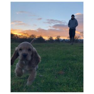 Freddie Thorp Instagram - First walkies! 🐶