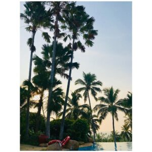 Freddie Thorp Instagram - I see palm trees 🙌🏼🌴🇮🇳
