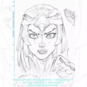 Freddie Williams II Instagram - Pencil study from He-Man / Thundercats
Let me know who you’d like to see me sketch in the comments below!
If you’re into this kind of sketch work, check out the original art section of my website: www.freddieart.com