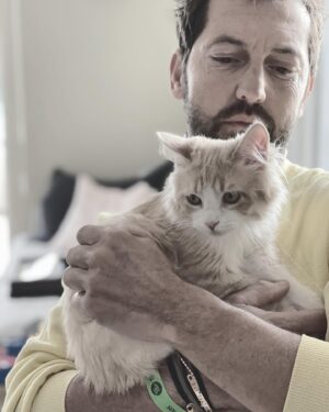 Frédéric Diefenthal Instagram - Hermes a rejoint la Stred Family ! Pour notre plus grand bonheur 😜 merci  @la_spa ! Bon dimanche en douceur! #dolce #catlover #roux #chaton #happy #family #💕#