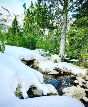 Frédéric Diefenthal Instagram - Balade matinale aux couleurs hivernales, le silence blanchit de la montagne ravit, me donne l’âme d’un poète à la rime désuète. 
Bonne journée à tous 💕💕 #montagne #nature #immensité #onesttoutpetit #lifeisbeautiful