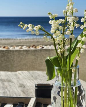 Frédéric Diefenthal Instagram - Des bisous #partage #douceur #muguet #1ermai #amour