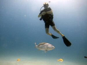 Frédéric Diefenthal Instagram - Quel kiff! connaissiez vous le poisson fantôme ? Merci Fabrice pour ces magnifiques photos @lux_divingadventures @luxresorts @luxgrandgaube