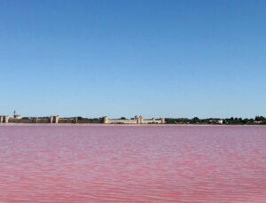 Frédéric Diefenthal Instagram - Sans filtres, juste un clic sur photo : les marais salants des couleurs irréel...! #petitecamargue #maraissalants #tournage #beautifulplaces
