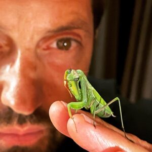Frédéric Diefenthal Instagram - Petite séance photo avec mon invite nocturne surprise qui ne m’a pas fait perdre la tête 😅 Bonne semaines à tous 😜#mentereligieuse #insect #beautiful #fascination #surprise #nature #ovni#dangerous #partenaire