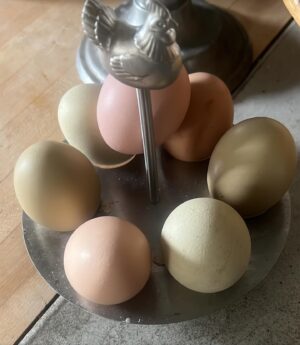 Frederique van der Wal Instagram - Glorious Easter weekend.

One of my favorite things is receiving the Times at the driveway and sitting with my coffee on the bench, listening to spring come alive around us.

Getting some fresh eggs, one of them lays green eggs ;))
playing a game of tennis, going for hikes,
and dinner with friends - life is pretty good.

#feelinggrateful