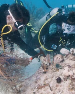 Frederique van der Wal Instagram - From the wonderful crazy life in the New York City jungle I was ready to change it up and dive into the ocean. 

I had been invited to witness firsthand the impact of rising ocean water temperatures on coral reefs. Joining the amazing organization I.CARE with Mike and Patxi, I was able to see their work on coral restoration and gain a deeper understanding of the effects of climate change on our underwater ecosystems. It becomes even more clear to me that everything is connected.

Every day, we witness the effects of climate change on our surroundings - floods, fires, and the loss of species and nature. But to see what is happening beneath the surface, we sometimes seem to forget and it’s heart-wrenching. 
However, with the efforts of organizations like I.CARE and Dr. Cindy Lewis director of Florida Institute of Oceanography’s Keys Marine Lab, there is hope.

Our first dive was disheartening, as much of the coral that had been planted had bleached. However, we were pleasantly surprised during our second dive. The energy was immediately better, and we witnessed life, action, vibrant colors, and an abundance of fish. The sponges that had been planted there were alive and had grown. Nature is resilient and finds ways to adapt and resist. On the other hand, we humans need to make changes in our behavior.

It feels good to be on the front lines and witness firsthand the efforts of so many people. 

I am trying to make a difference,
 by using my water bottle instead of buying plastic bottles. 
To use no plastic around the house If everyone stops or drastically reduces their consumption of plastic bottles, the impact would be enormous.
I am also taking the time to understand the ingredients in the products I use. I have learned about the harmful effects of microbeads, which are tiny plastic particles found in cleaning products, cosmetics, and skincare. By being more conscious of what I buy, I can make choices that are better for the environment and for myself.

I have adopted a mindset of mindful consumption. Instead of buying unnecessary things, I am focusing on reducing my overall consumption. By doing so, I hope to contribute to a more sustainable future.
