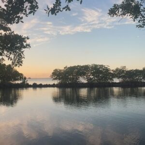Frederique van der Wal Instagram - Finding myself back in Florida for a few weeks.

Love, life and work.

My curiosity about understanding how my body is changing and how we eat, exercise, the supplements we take, the products we put on our face and body, to the clothes we wear is bringing me here for some exciting meetings.

It all matters.

My goal is to get a deeper understanding of my body, mind and soul how they are connected.
Its so unbelievably interesting to learn what we can do to better our lives in not only outlook to life, to inside our bodies and how we can help to make sure we live better for the next part of life.
Staying strong for the next 35 years ;) with a smile on my face.

Youthful, to me is a state of mind.

(Only did 7469 steps)

#discovery #longevity #wellness #personalgrowth #supplements #beautyproducts