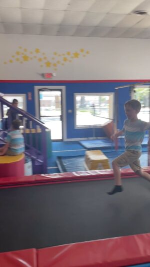 Friedman Twinkies Instagram - The Friedman Twins are part monkey. They all 4 love to tumble! #tumble #tumbling #gymlife #gymnastkid #gymnastics