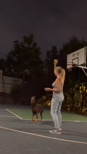 Fulden Akyürek Instagram - Köpek eğitimlerimiz başlamıştır 😎