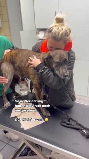 Fynn Kliemann Instagram - Krankenhaustagebuch 1/3 von Bruchpilot GG #hund #dog