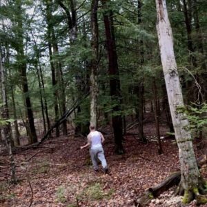 Gabriel Basso Instagram - The woods