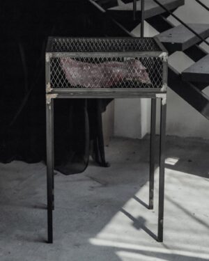 Gabriel O'Shea Instagram - Caged (Inert flesh) [2022]
Wax and plaster on metal base with cage
100h x 60w x 50d cm
-
www.gabrieloshea.com
-
#figurativesculpture#waxsculpture#gabrieloshea#artstudio