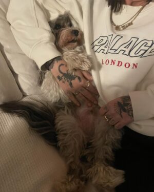 Gabrielle Haugh Instagram - Things that made me smile 🤍