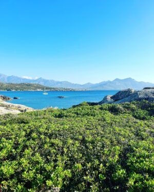 Gaëlle Pietri Instagram - Summertime 
And the livin’ is easy 
#Corsica 💙