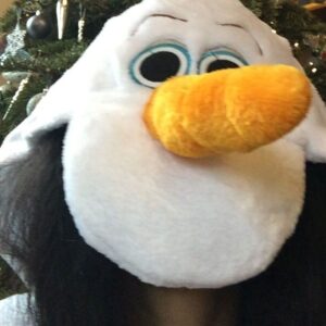 Gana Bayarsaikhan Instagram - Happy New Year everyone!!! 🎇
Шинэ Оны Мэнд Хүргэе!!! 🎆🌠✨✨🥂🥂💖♥️⛄️

#happynewyear #2021 #olaf