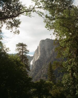 Garrett Wareing Instagram - Finding joy in the big and the small in the wondrous @yosemitenps! Lovely people, lovely Earth, lovely time. Embrace life 🦦🏞️🌲📸🎞️