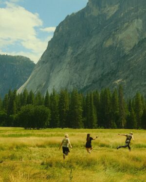 Garrett Wareing Instagram - Finding joy in the big and the small in the wondrous @yosemitenps! Lovely people, lovely Earth, lovely time. Embrace life 🦦🏞️🌲📸🎞️