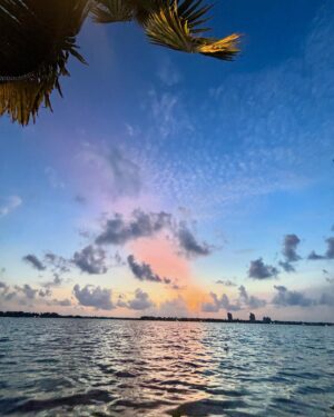 Geethi Sangeetha Instagram - Chasing SuNsEtS and DrEaMs..

Eid Mubarak Dear All..🤗❤️

Swipe ➡️ to see the colours of the evening sky..
.
.
.
.
.
.
.
.
.
.
.
.

@swargam_backwaters 

#eidmubarak #sunset #sunsets #sky #skylovers #cloud #cloudchaser #love #skylovers #sunsetlovers #iphonography #iphoneonly #iphone15plus #noedit #naturephotography #nature #naturelovers #throwback #kochi #picoftheday #trending