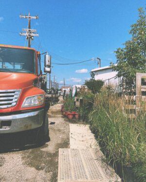 Genevieve Buechner Instagram - 💐🚚