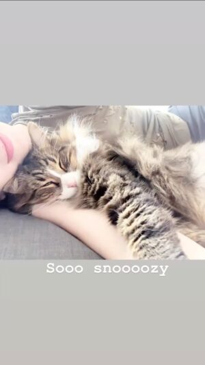 Genevieve Buechner Instagram - The fuzzy loves