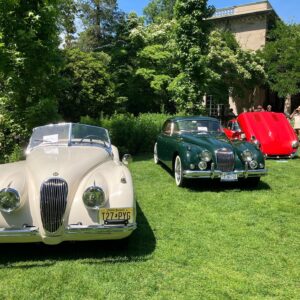 Genoveva Rossi Instagram - My 2nd year attending CATS IN THE GARDEN XVII; a jaguar car show at @vanvleckhouseandgardens rious

#genovevarossi  #vanvleckhouseandgardens #montclairnj #garden #jaguar #carshow #luxurycars #jaguarcarshow