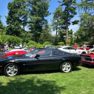 Genoveva Rossi Instagram - My 2nd year attending CATS IN THE GARDEN XVII; a jaguar car show at @vanvleckhouseandgardens rious

#genovevarossi  #vanvleckhouseandgardens #montclairnj #garden #jaguar #carshow #luxurycars #jaguarcarshow