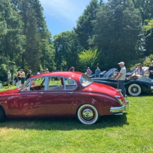 Genoveva Rossi Instagram - My 2nd year attending CATS IN THE GARDEN XVII; a jaguar car show at @vanvleckhouseandgardens rious

#genovevarossi  #vanvleckhouseandgardens #montclairnj #garden #jaguar #carshow #luxurycars #jaguarcarshow