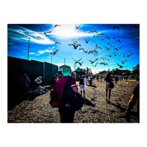 George Clarke Instagram - #glastonbury