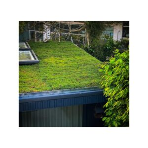 George Clarke Instagram - My new sedum roof on my studio retreat. I love it! 😍 #Sedum #SedumRoof #GreenRoof
