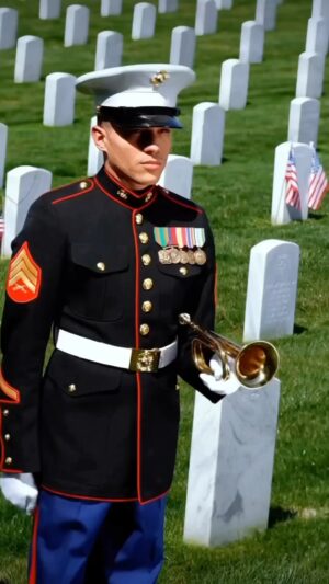 George Lopez Instagram - RESPECT TO THOSE WHO GAVE THE ULTIMATE SACRIFICE AND THE LOVED ONES THAT LOST THEM🙏🏽🤍🕊️
- Tio George

#allgavesomesomegaveall #memorialday