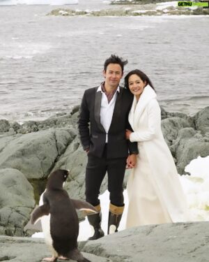 George Young Instagram - Antarctica. 9 years ago today. One of the photos that didn't make the cut because the penguin refused to both get out of the way and sign the damn release form. Happy Anniversary @janetagram x

Photo by fellow ice man @nickonken