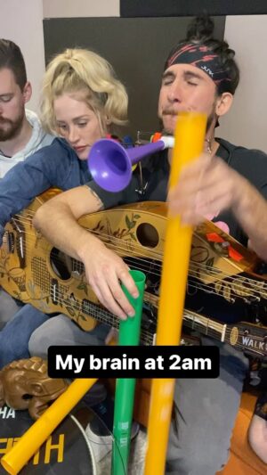 Giancarlo Nicassio Instagram - Follow @walkofftheearth and @luminati for more silly goose music videos!