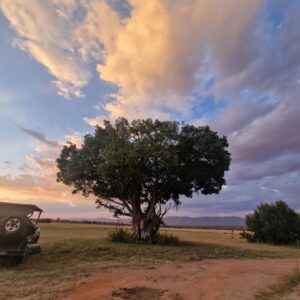 Gianmarco Saurino Instagram - la memoria del cuore è molto più figa della memoria del cervello
che non devi aver paura di dimenticare, certe cose stanno dentro, il tempo non le fotte

la fine dell'homo sapiens non saranno nè il climate change nè l'atomica nè putin o la corea del nord 
la fine dell'uomo sarà quando anche albe e tramonti saranno a pagamento