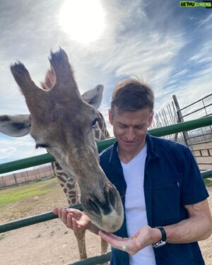Gideon Emery Instagram - I don’t often smile. But a giraffe always cracks me up. Sweet and goofy, just like me… 😉 Thanks @giraffehousesa for the hugs!