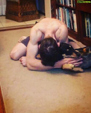 Gideon Emery Instagram - Catching up on a certain TV show with one of the pups… #dogsofinstagram #wolfpackonpplus