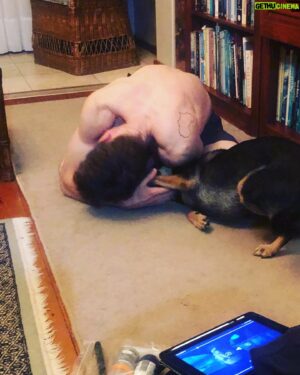 Gideon Emery Instagram - Catching up on a certain TV show with one of the pups… #dogsofinstagram #wolfpackonpplus