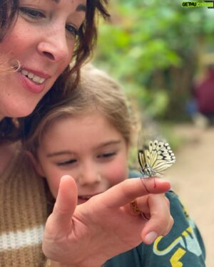 Gideon Emery Instagram - On the back of Earth Day, the joys butterflies. And the dangers of human-strawberry cross breeding…🤣