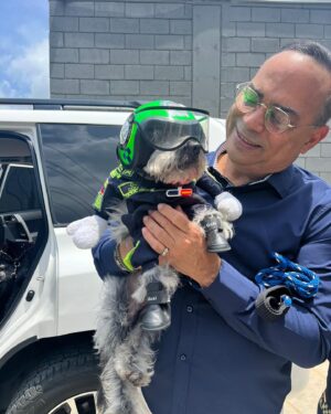 Gilberto Santa Rosa Instagram - Si me conocen, saben mi amor por los animales en especial por los perros!!!
Aquí en Barranquilla encontré un amigo nuevo que trabaja en el equipo policial de la ciudad. Cooper, un perro policía que patrulla en una motocicleta con su casco y su insignia en la que se lee: “Policía cívico”, las cosas lindas que alegran un domingo!!!
#caminalo #gsrautentico