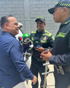 Gilberto Santa Rosa Instagram - Si me conocen, saben mi amor por los animales en especial por los perros!!!
Aquí en Barranquilla encontré un amigo nuevo que trabaja en el equipo policial de la ciudad. Cooper, un perro policía que patrulla en una motocicleta con su casco y su insignia en la que se lee: “Policía cívico”, las cosas lindas que alegran un domingo!!!
#caminalo #gsrautentico