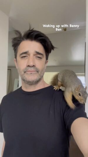 Gilles Marini Instagram - Typical day at the Marini’s… 
#parrot #africangrey #animals #wild #friday #nocage #free #nature #wakingup #squirrel #bennyben #family #acceptance