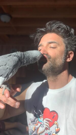 Gilles Marini Instagram - “No bird soars too high if he soars with his own wings.” 
#parrot #nocage #love #family