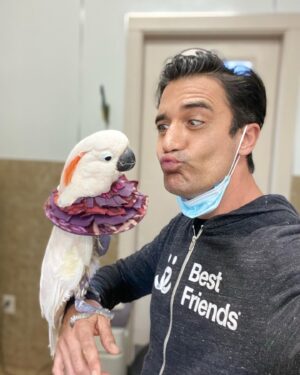 Gilles Marini Instagram - About 7 million homes across the U.S. are planning to add a pet to their family this year. If just 6% more people choose to adopt rather than purchase a new best friend, we would end the killing of pets in our nation’s shelters. #bringlovehome