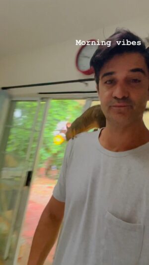 Gilles Marini Instagram - After the storm, the nuts 🥜 Waking up with Benny Ben is never easy. #homesweethome #squirrel #bennyben #explorerpage