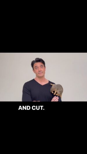 Gilles Marini Instagram - The life of an actor who loves animal more than his job… #audition #filming #bennyben #wildlife #squirrel #happy #squirrelofinstagram