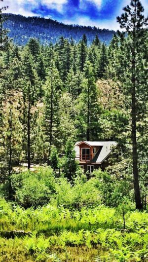 Gilles Marini Instagram - My happy place…
I built this addition of my cabin 10  years ago with my best friend Kevin. We added to the existing structure (doubled it) but did not compromised the look and vibe of the surrounding. 
It’s my favorite place in the world cause we built it with our hands. 
Even though Kevin has passed away his presence here at the cabin is so strong. I truly miss my best friend! 
@kdbuild