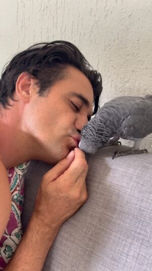 Gilles Marini Instagram - “Until one has loved an animal, a part of one’s soul remains unawakened.” 
#parrots #anya #animals #birds #family #love #sunday