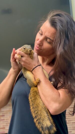 Gilles Marini Instagram - “There’s too much risk in loving,’ the young Squirrel said, ‘no,’ said the young woman, ‘there’s too much risk in not.” ❤️❤️ #mondaymotivation #love #family #squirrel #bennyben #kiss #wild #explorepage #fyp #repost