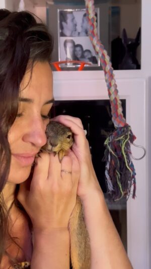 Gilles Marini Instagram - Motivation Monday.. 
You may wonder? “What motivation?” =

The animal world shows us the potential we can unfold. But to learn from them, we must first learn to speak with them. ~ Ted Andrews.
#bennyben #carolemarini #mondaymotivation #fyp #repost #kindness #wildanimals